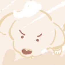 kamomeyama_0505's profile picture. 犬と暮らしています