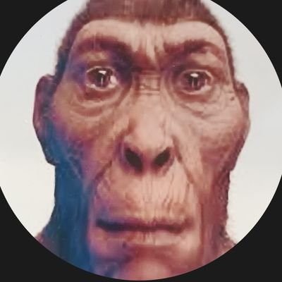 Tutuca1709's profile picture. te voy a likear hasta un punto