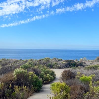 lindsayg03dd31's profile picture. venture builder & investor.. sharing information I find motivating, insightful, or interesting!