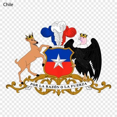 jluisderech's profile picture. Defendamos la democracia💪🏻🇨🇱 No a feminazis Comunistas basuras y políticos globalistas del NOM. amo mi País 🇨🇱 Chile debe volver a la disciplina. 💪🇨🇱😠