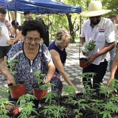 eleShakalele's profile picture. Menschen, die sich mit Cannabis selbst versorgen sind vor dem Gesetz leider immernoch kriminell.      Das sollte sich durch gerechte Politik ändern. #Weedmob