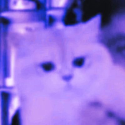 imhotbtwyuki's profile picture. 