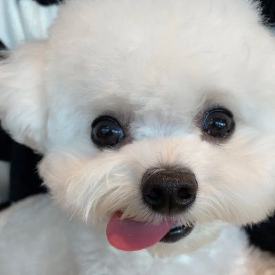 JomBHDH's profile picture. ʬʬ L-1485 ♡ Dreamzen #RWjom & #รีวิวของjomแม่น้องแฮช ♡⃛ 06.05 | 06.06 ॱଳ͘ update ลงไซน์ ᨳ #จอมupdate ♡˖*° tracking ✿ #จอม_tracking ISTP-T #โหวตของjom