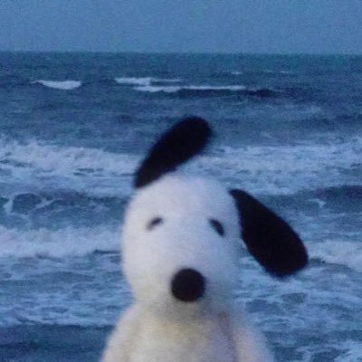 gothistoothache's profile picture. a bit more @criesherheartou