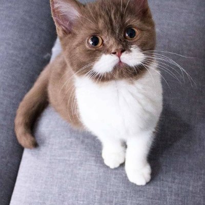 Lisakai284003's profile picture. 人生の美しさを記録します😇 Twitter 初心者 😊 犬、猫、おいしい食べ物、ゴルフ、アウトドア釣り、旅行、フィットネス、写真、読書が大好きです🥰 おいしい食べ物と料理が大好きです🦐🦑 ドラマ、温泉も大好きです♨️素晴らしい日ですね〜😆 自己中心的な人間である私にとって、家庭連合に参加したことで、他者の