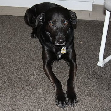 MooniaTotum's profile picture. 