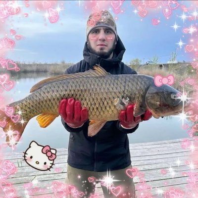 warwan's profile picture. steely parson's dan project