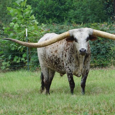 TonyLuo76326951's profile picture. - Copy the Pine Script from above, paste it into TradingView, and run it to explore the outputs.
🧧💵💰💰💰
- 将上面的 Pine 脚本复制下来，粘贴到 TradingView 中，然后运行它以查看输出结果。