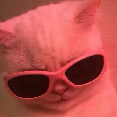 itsxxbibi's profile picture. 18 // sw: 97kg // gw: 50kg