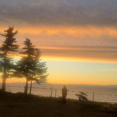 alaskafrau's profile picture. fisher 
for truth . Jesus is King. 
America First 🇺🇲🇺🇲🇺🇲🇺🇲 Veteran