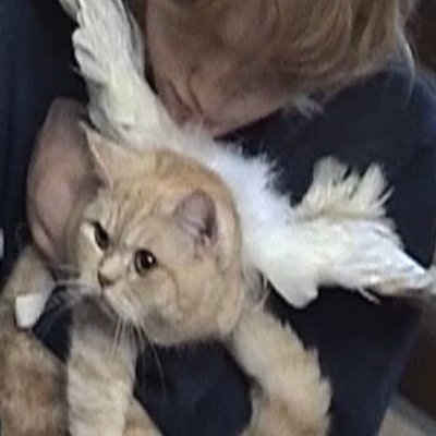 jjunflwrs's profile picture. 다른 색을 가진 다섯 별이 여기 모여 // #투바투  ✩
back2 @jjuniflwrs