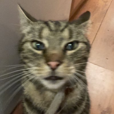 keefmikelson's profile picture. 