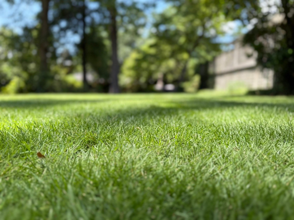 SoccerD4d420's profile picture. 