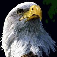 nerdcast06's profile picture. 