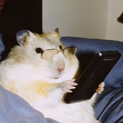 Studythegreen's profile picture. Vestibulando de Med USP
#studytwtbr #studytwt