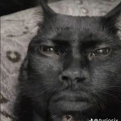 LetciaM9689's profile picture. 👾