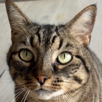 tbiz's profile picture. 