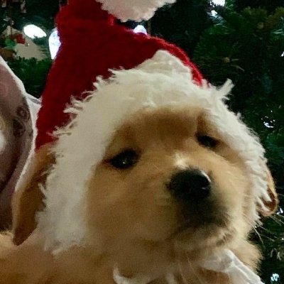 retrieveire's profile picture. ☃️ big fan of words . . . https://t.co/szNlRtcl2n