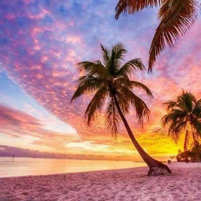 ReacherGoal's profile picture. @gopher_ai content creator