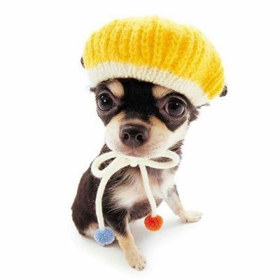 queirolzinha's profile picture. do i ever cross your mind?