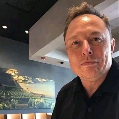 Elon615259's profile picture. Entrepreneur 🚀| Spacex • CEO & CTO 🚔| Tesla • CEO and Product architect 🚄| Hyperloop • Founder 🧩| Grok • Co-founder