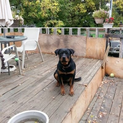 wa23840's profile picture. ❤🧨