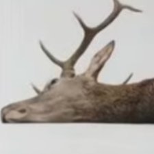 sprinklescat's profile picture. We'll take the cowards way out!. And we won't hear what they say about us because we won't be able to hear anything ever again!.