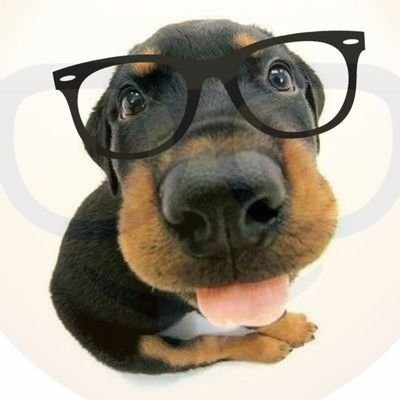 camwqy's profile picture. jurídico gl's