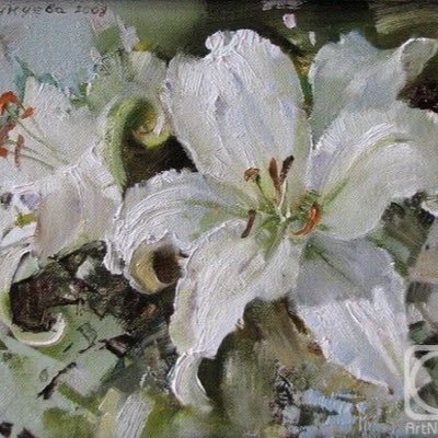 Ijustneedauserk's profile picture. L_L,