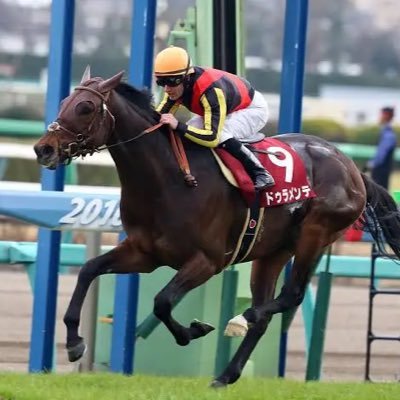 yuitosunagawa's profile picture. 26歳 趣味 競馬 野球観戦 ゲーム→ウマ娘（ドゥラメンテ、ナリタブライアン推し）、NIKKE（紅蓮、ヘルム推し）