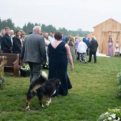 driscoll_neil's profile picture. Father of 4, husband to 1 and I love black diesel smoke! President of OTTPA  Manager @ HC Drayton. Farming is my 2nd favorite F word