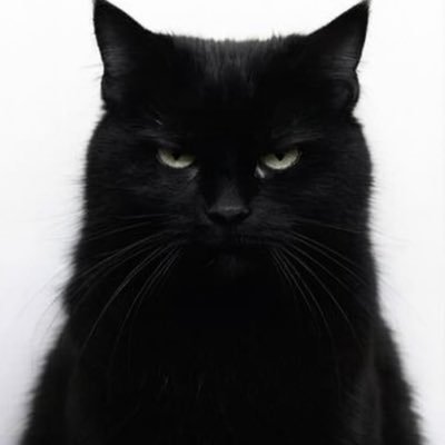 GarlicSaltkmkha's profile picture. 