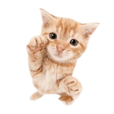 ethnVLR's profile picture. 18