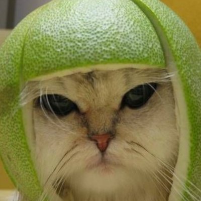 inachtive's profile picture. wannabe Malware Researcher and Dev, I like cats