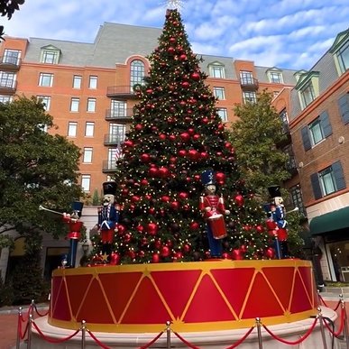 SunPetal57's profile picture. 🇺🇸 Proud citizen, thoughtful observer. I love my country, question it with respect, and share my opinions because caring about my country means thinking indep