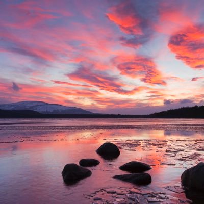 sabrinaa529's profile picture. Crypto enthusiast who spends too much time on discord 💫