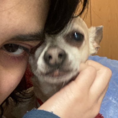 ferrendont's profile picture. sweet as a peach