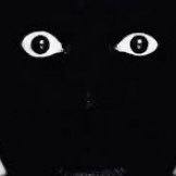 Tinyv73's profile picture. God is always first, Family isn’t always blood relatives, Recovery 06/29/2013.Ms Dakota runs this account..