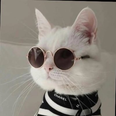 Sam31234's profile picture. Microbiology researcher 🔬| Saudi, Asiri soul living in Jeddah 📍| Curious mind, chasing tiny worlds & bigger discoveries ✨