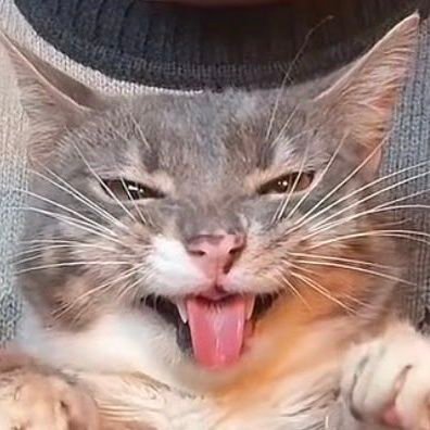 B71Archive's profile picture. Just here to make my haters confused.