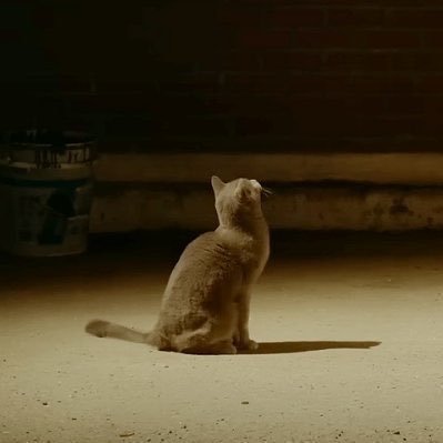 absterwebby's profile picture. social @billboard ✨ words @nme, @teenvogue, @recordingacad, @consequence, @elitedaily etc 💌 email me at byabbywebster@gmail.com