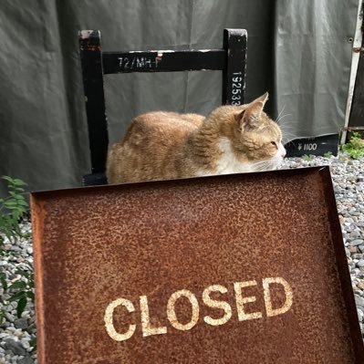 bebeboy0920's profile picture. 2025.9第1子出産(無痛)👶🍼2026.4中仕事復帰予定/完ミ/(義)両親・地元遠方/日常の共有、情報交換等できれば嬉しいです🙏ゆるっと仲良くしてくださる方、是非ともよろしくお願いいたします…！無言フォロー失礼します🙇‍♀️