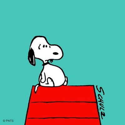 supersillythang's profile picture. NO PRIVATE QUOTES! 19, black, they/them, SNL, iwtv, cónclave, the bear, THE PITT!!! ☪️🇵🇸MDNI 🔞, Professional name: Dr. Bitches/Alvin (i am a girl)