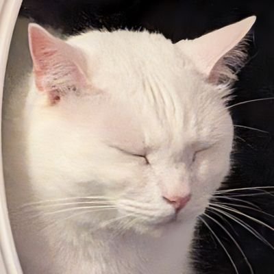 ElectroMasterF's profile picture. For the good of humanity!