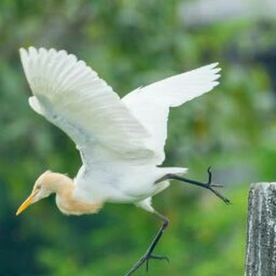 gane_san58872's profile picture. 