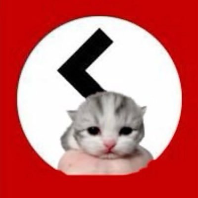 velmxy1's profile picture. orthodox turk and part time kemalist. ragebaited = i own u