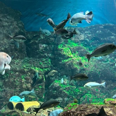 TwoBhonest's profile picture. 그냥 잡담