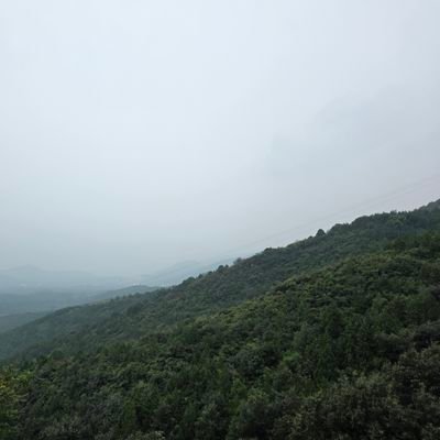 KevinHan985's profile picture. 