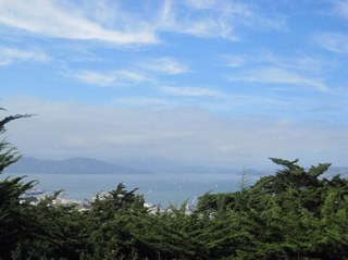 Duncantricia's profile picture. 