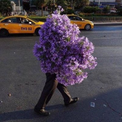 iloveendorphins's profile picture. 